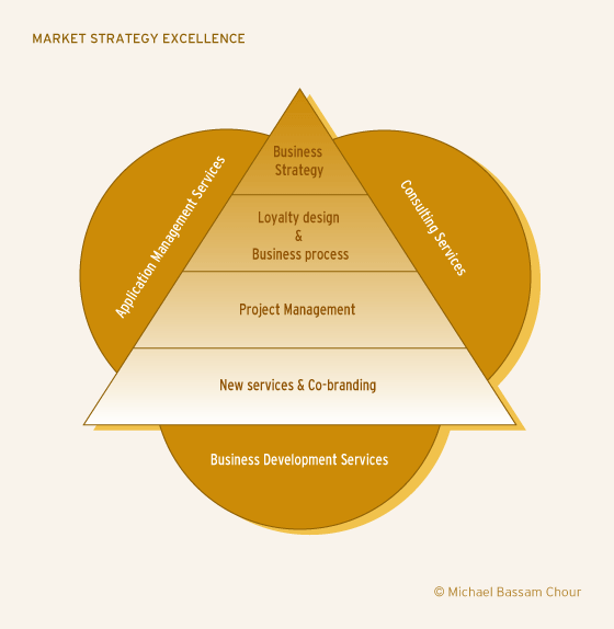 Schema : MARKET STRATEGY EXCELLENCE