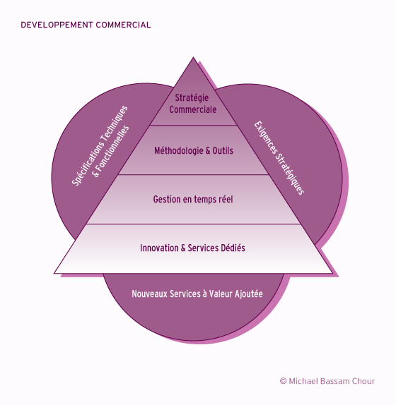 Schema : DEVELOPPEMENT COMMERCIAL